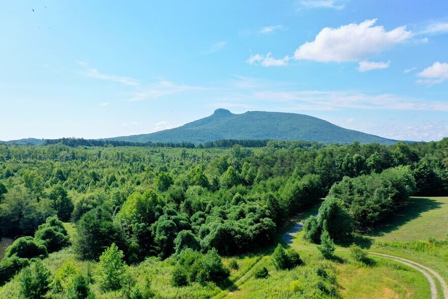 More Photos Of 8AC Lola Ln, Pilot Mountain Land For Sale