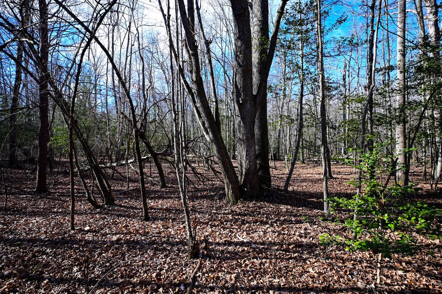 More Photos Of Stuckey Rd @ Mason Springs Rd, Indian Head Land For Sale