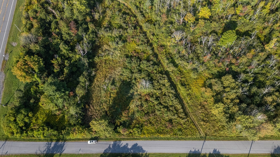 More Photos Of 219 Mudge rd, Delanson Land For Sale
