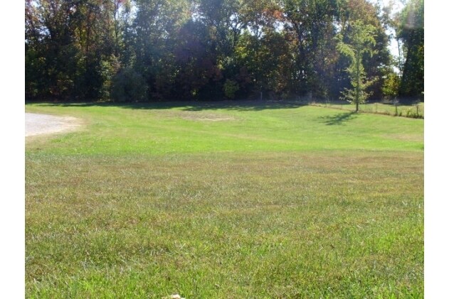 More Photos Of 221 County Road 371, Holts Summit Restaurant For Sale