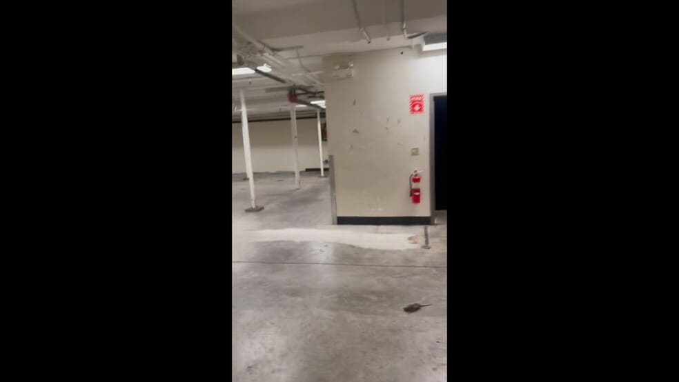 More Photos Of 585 Washington St, Boston Freestanding For Lease
