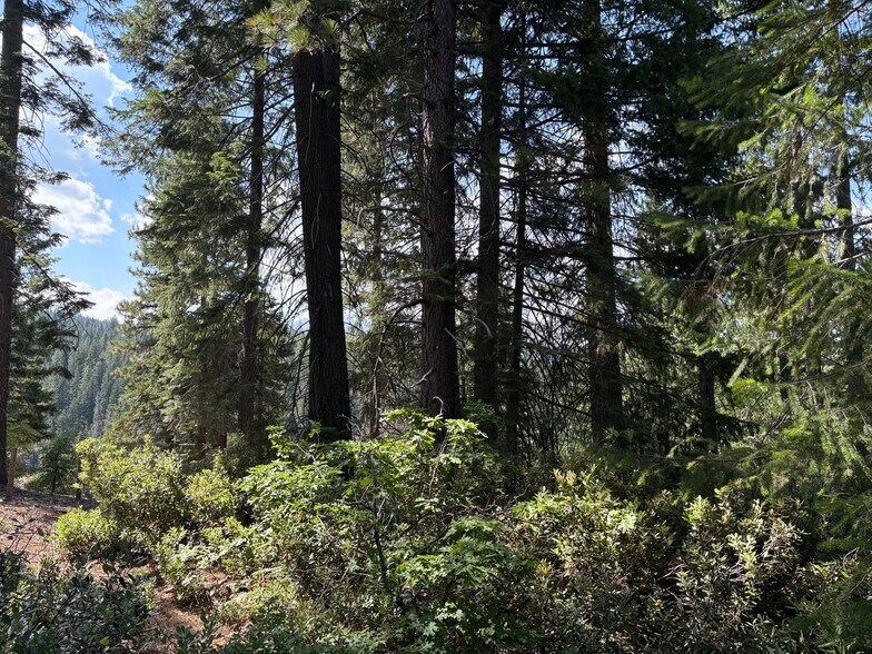 More Photos Of Castle Creek Rd, Mount Shasta Land For Sale