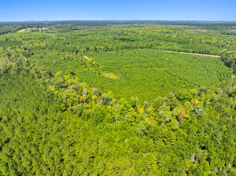 More Photos Of 7471 Highway 155, Saline Land For Sale