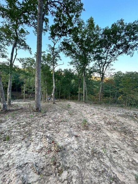 More Photos Of 20871 Arundel Dr, Marthasville Land For Sale