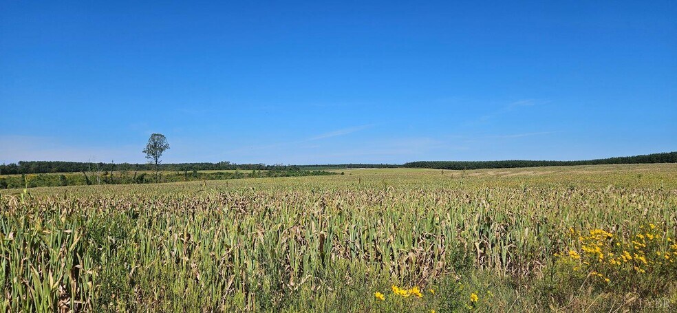 More Photos Of Glenmore Road, Scottsville Land For Sale