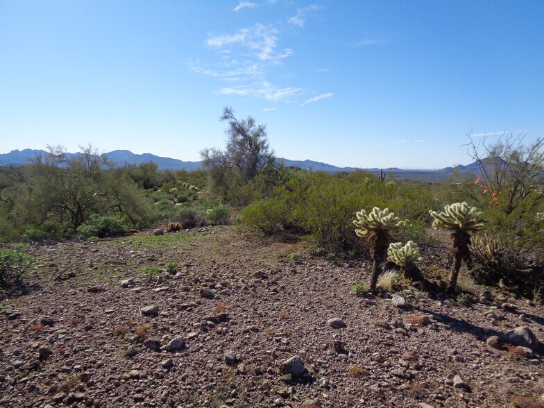 More Photos Of 13801 N Tierra Del Oro, Fort Mcdowell Land For Sale