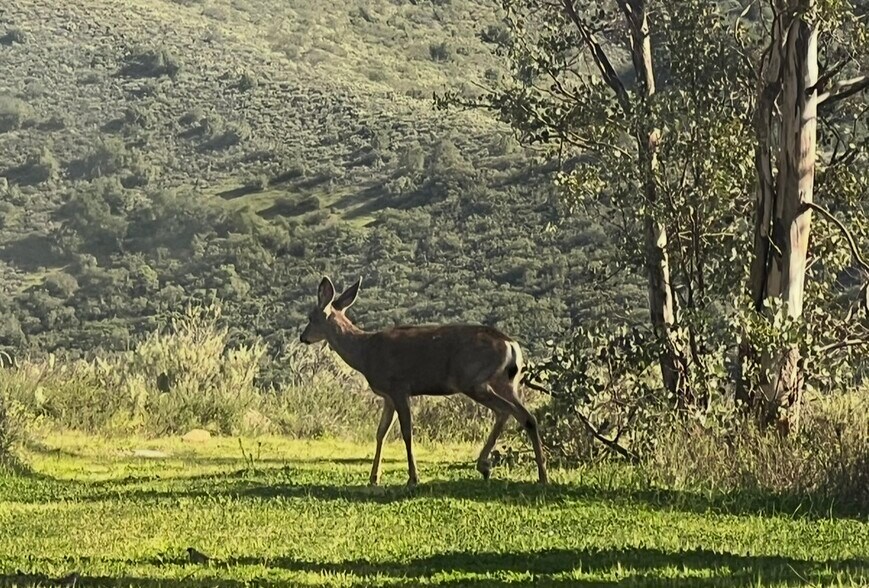 More Photos Of Boundry Rd @ Ortega Highway, San Juan Capistrano Land For Sale