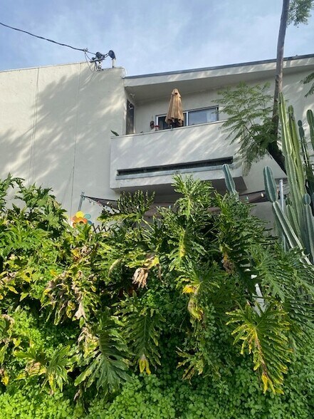 More Photos Of 2038 Holly Dr, Los Angeles Multifamily For Sale
