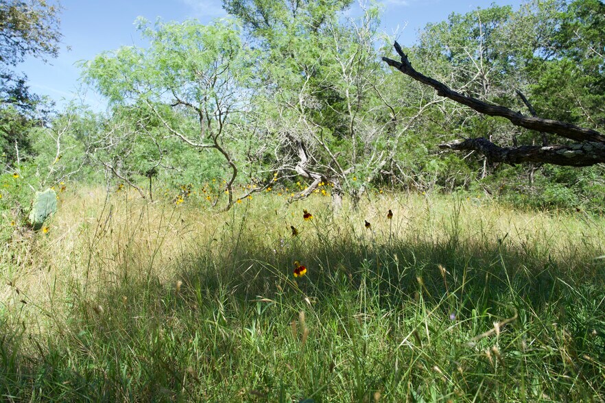 More Photos Of 00 Taylorsville Rd, Red Rock Land For Sale