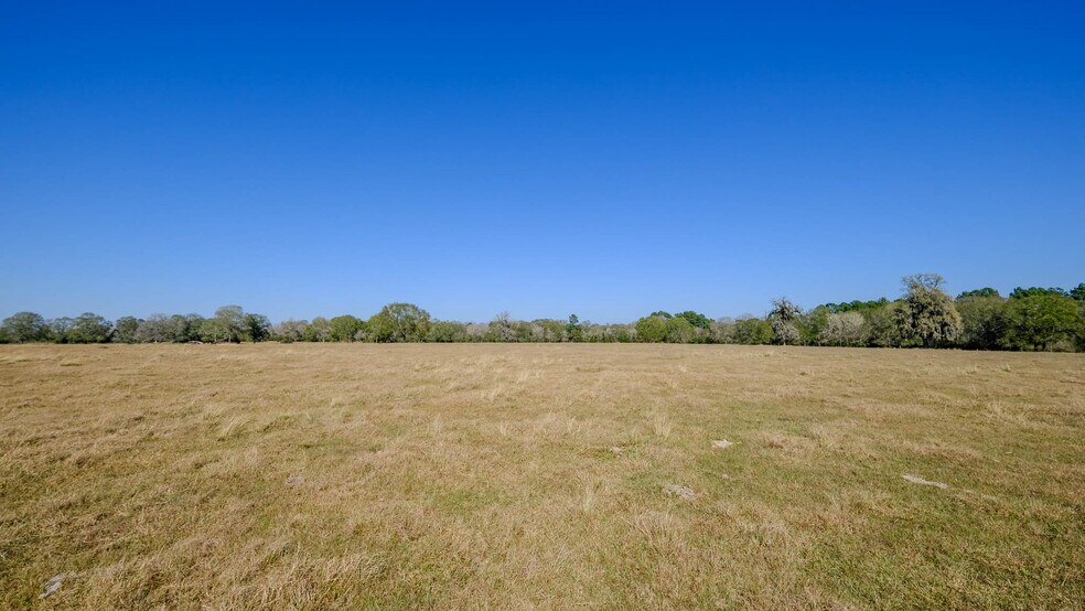 More Photos Of 26266 Fields Store Rd., Waller Land For Sale
