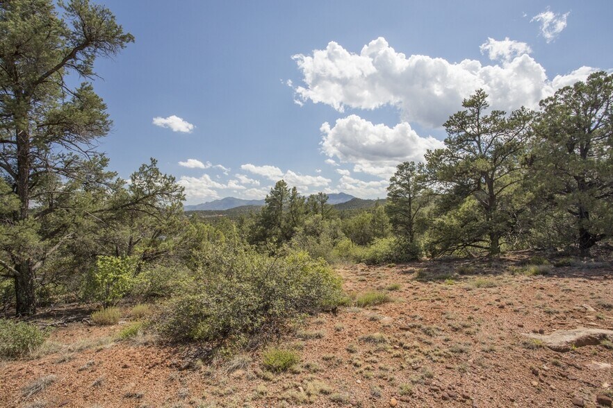 More Photos Of 1200 Airport, Payson Land For Sale
