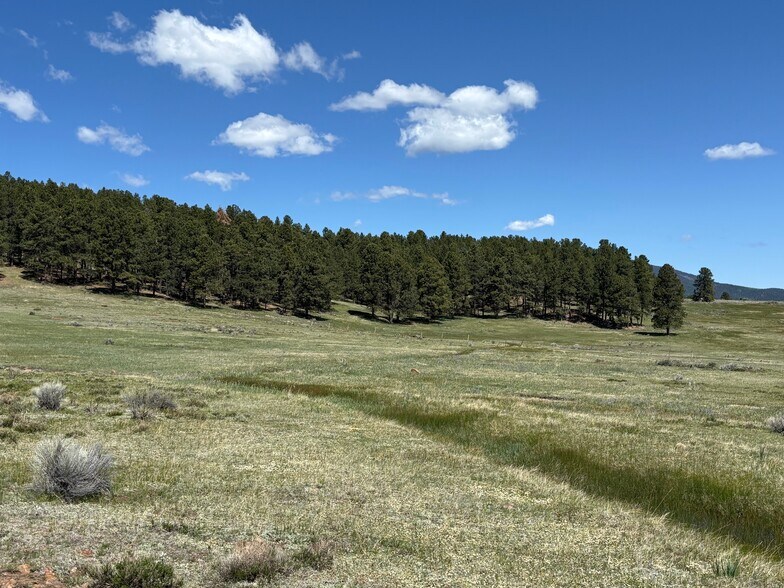 More Photos Of 27989 Highway 64, Eagle Nest Land For Sale