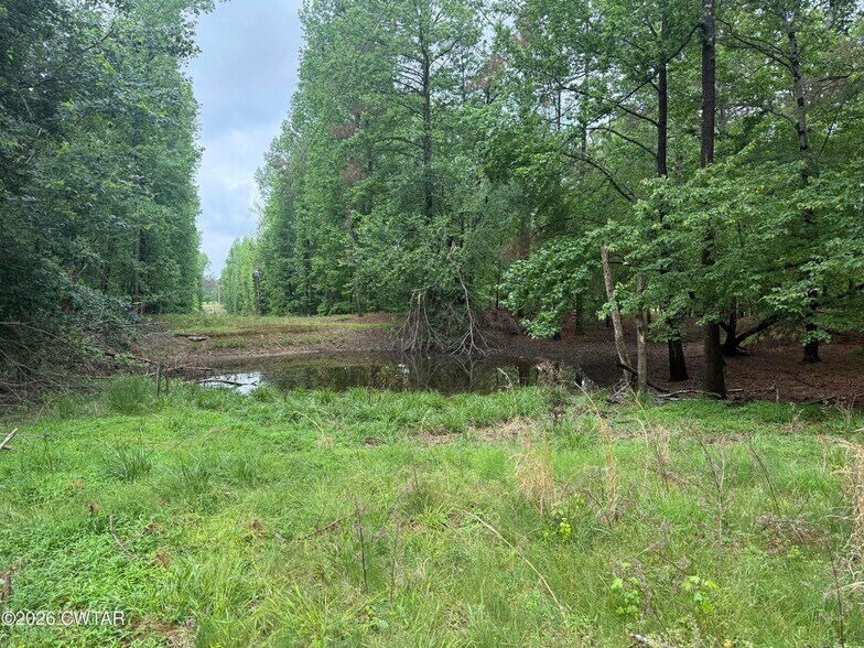 More Photos Of 9402 Brooksie Thompson Rd, Bath Springs Land For Sale