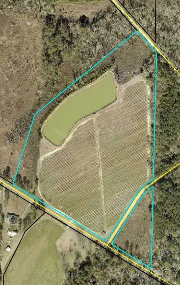 More Photos Of Harmony Road, Meigs Land For Sale