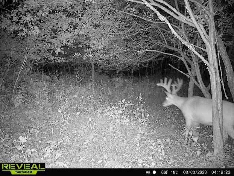 More Photos Of Fisher Road, Iola Land For Sale