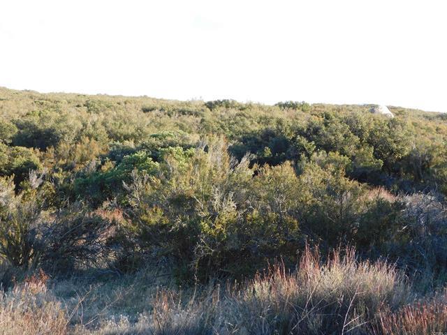 More Photos Of 34711 Old Hwy 80 hwy, Pine Valley Land For Sale