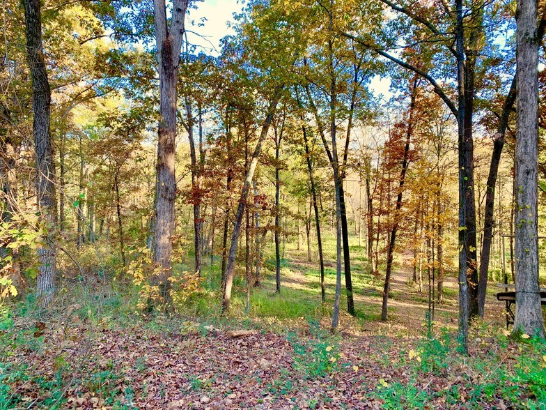 More Photos Of 1882 Barber Creek Rd, Statham Land For Sale