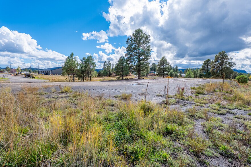 More Photos Of 555 Bastille Drive, Pagosa Springs Land For Sale