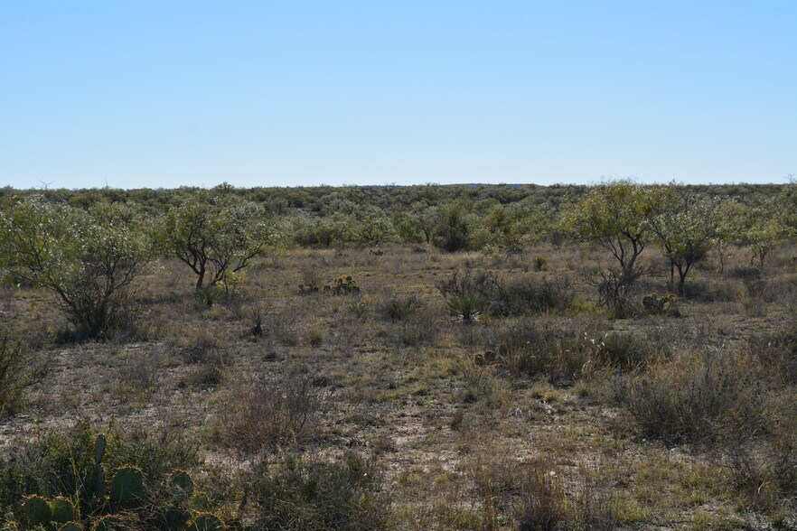 More Photos Of CR 1329, Paint Rock Land For Sale