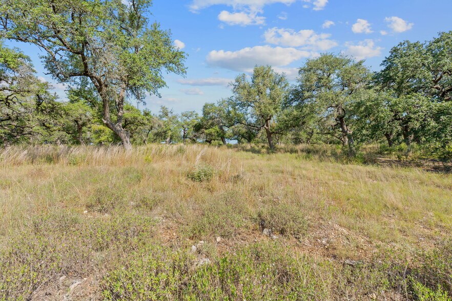 More Photos Of TBD 290 at Corner of Whirlaway Dr, Dripping Springs Land For Sale