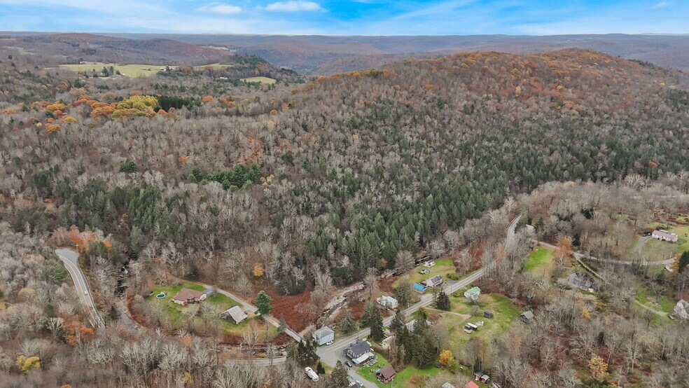 More Photos Of 553 County Road 94, Hankins Restaurant For Sale