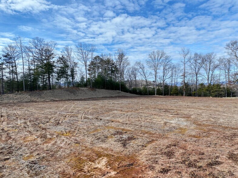 More Photos Of 00 US 76 w hwy, Hiawassee Land For Sale