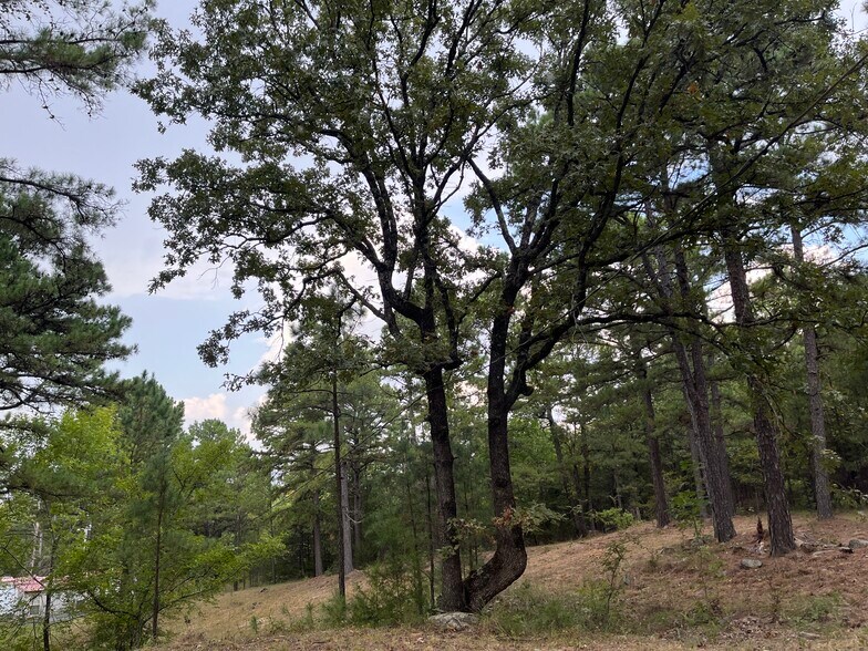 More Photos Of 27546 Reservation Rd, Daisy Land For Sale