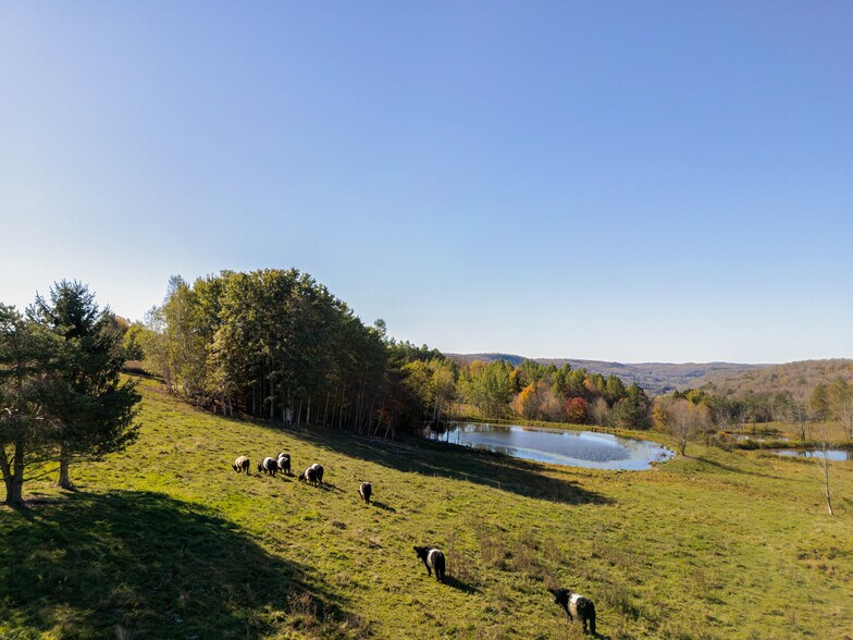 More Photos Of 108 HIGH POND Rd, Richmondville Specialty For Sale