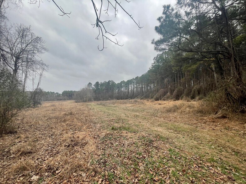 More Photos Of 0 Hwy 70 & Browns Church Road hwy, Jackson Land For Sale