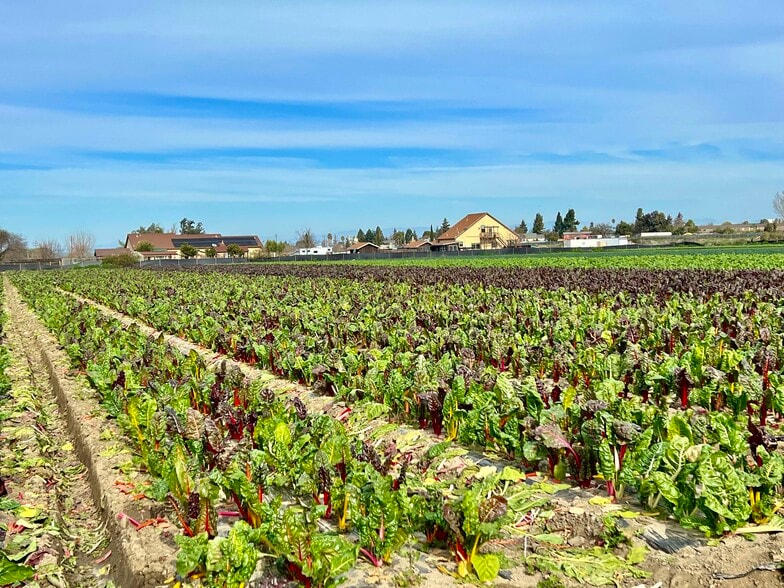 Primary Photo Of 320 Riverside Rd, Hollister Land For Sale