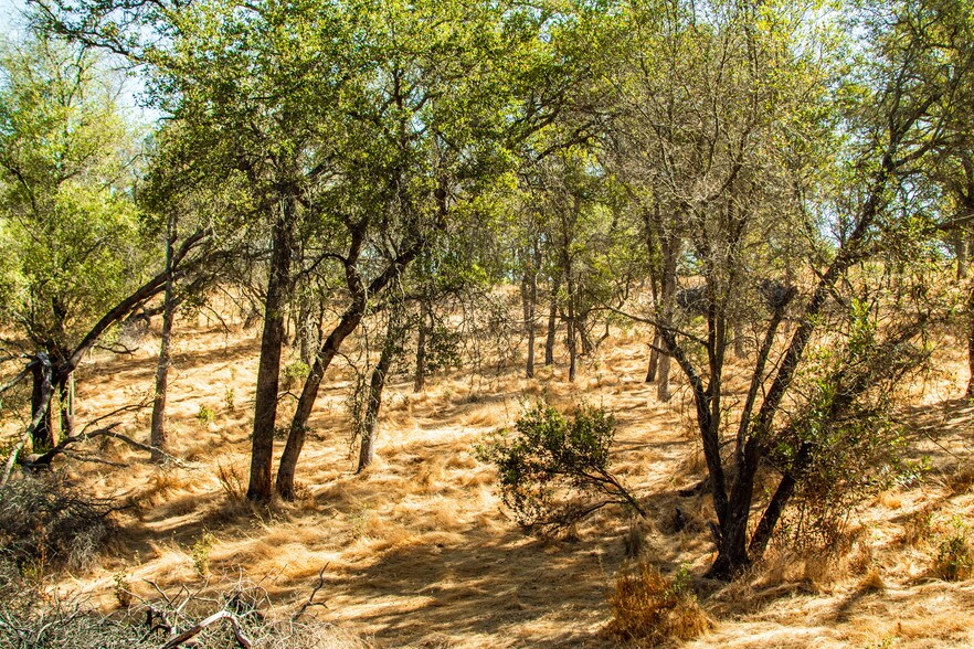 More Photos Of 4471 Buena Vista Rd, Ione Land For Sale