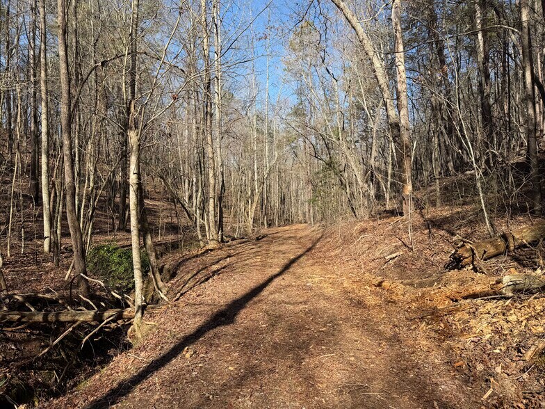 More Photos Of Elliott Family Pky @ Highway 53, Dawsonville Land For Sale