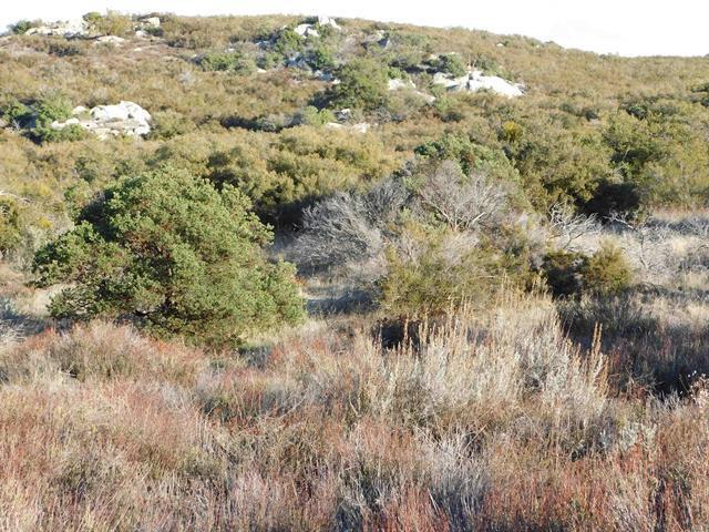 More Photos Of 34679 Old Highway 80, Pine Valley Land For Sale