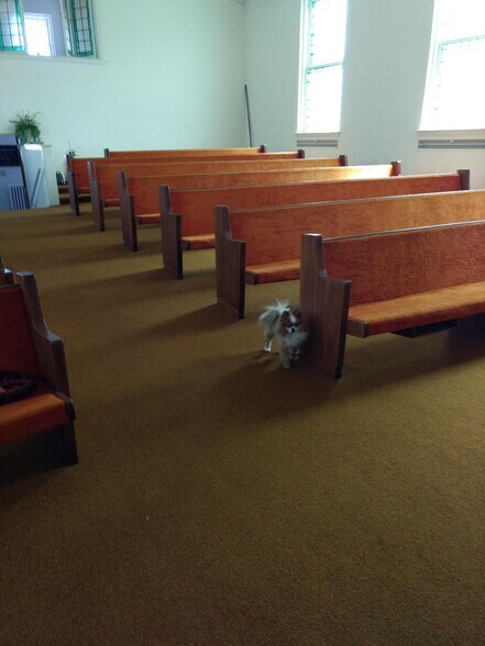 More Photos Of 71 S Washington St, Oxford Religious Facility For Sale