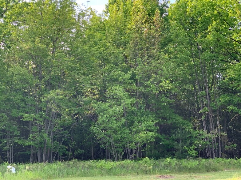 More Photos Of Xxx W Houghton Lake Dr, Houghton Lake Land For Sale