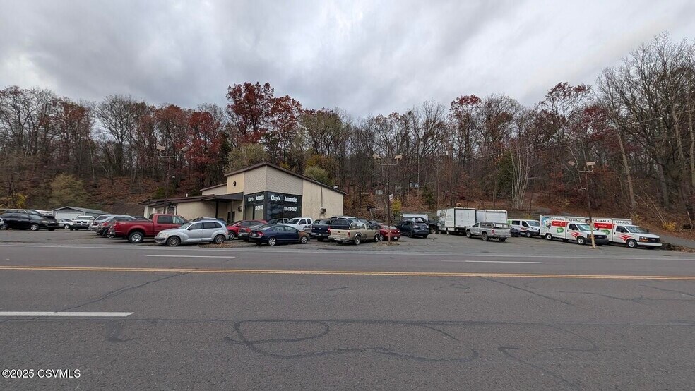Primary Photo Of 11489 PA 61, Mt Carmel Auto Dealership For Sale