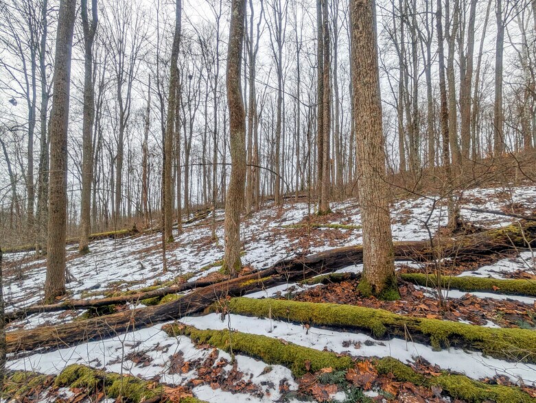 More Photos Of ,  Land For Sale