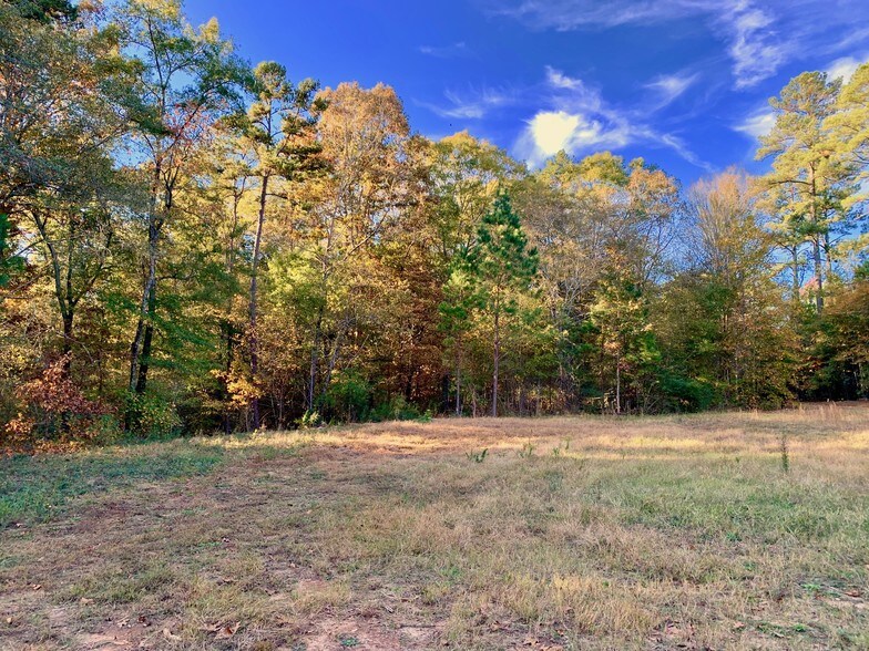 More Photos Of 1882 Barber Creek Rd, Statham Land For Sale