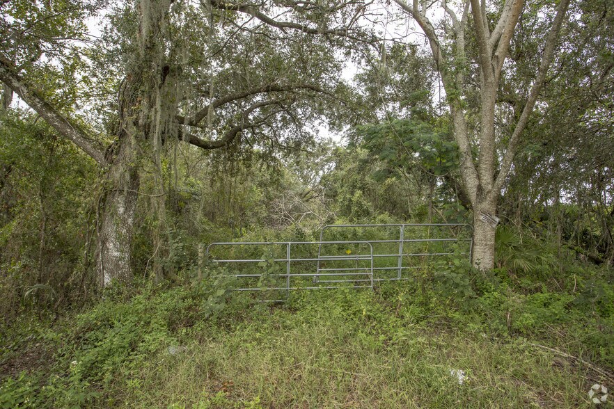 More Photos Of SW Hwy 17, Arcadia Land For Sale