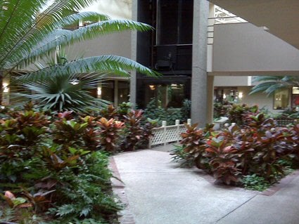 More Photos Of 824 Elmwood Park Blvd, Harahan Medical For Lease