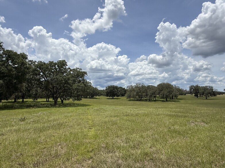 More Photos Of NW 27th St, Dunnellon Land For Sale