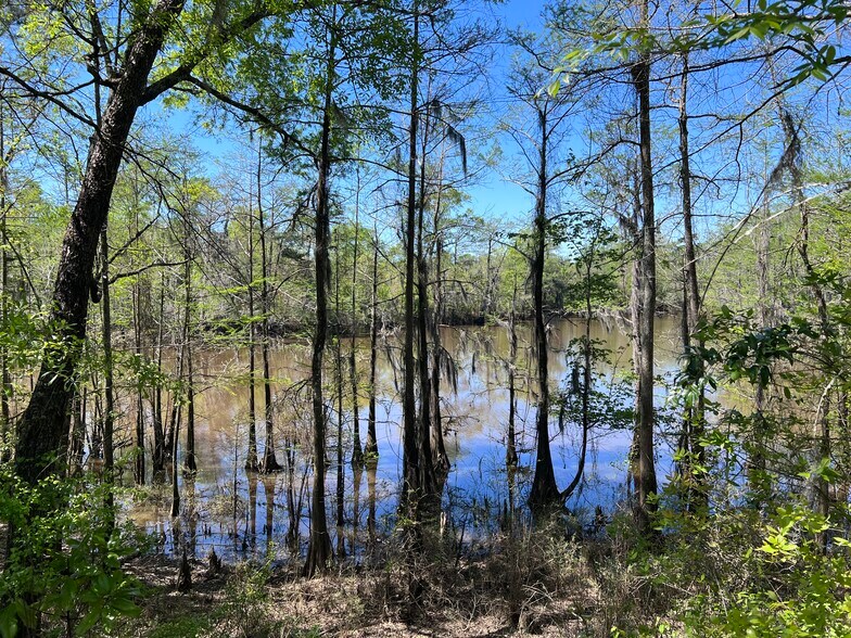 More Photos Of 2610 Highway 4, Jay Land For Sale