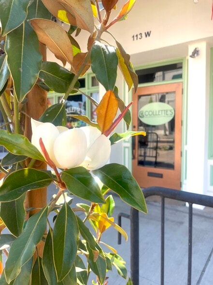 More Photos Of 113 W Grand Ave, Escondido Restaurant For Sale