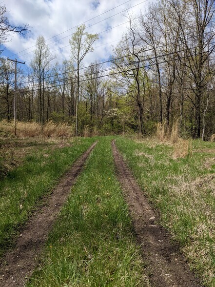 More Photos Of 266 Lucky Ln, Dawson Land For Sale