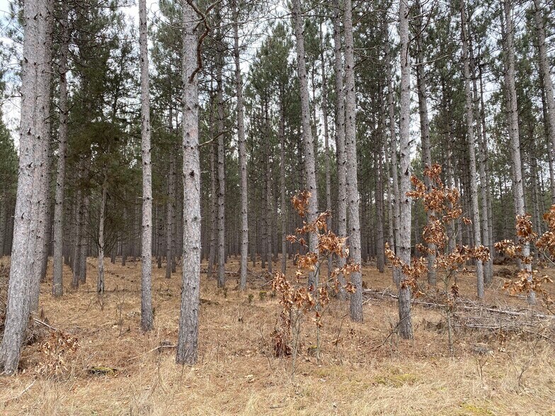 More Photos Of 207 State Highway 13, Nekoosa Land For Sale