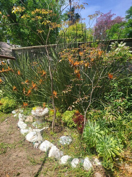 More Photos Of 18552 Erwin St, Tarzana Land For Lease