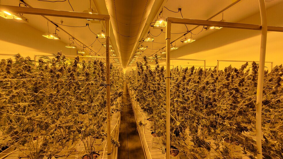 More Photos Of 515 Hammontree Dr, Morenci Industrial For Sale