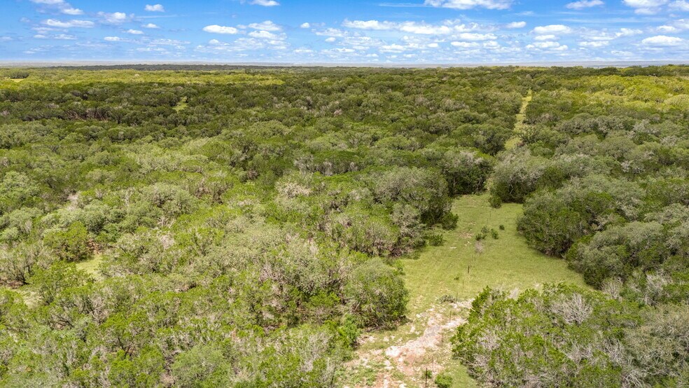 More Photos Of 4601 County Road 251, Hondo Land For Sale