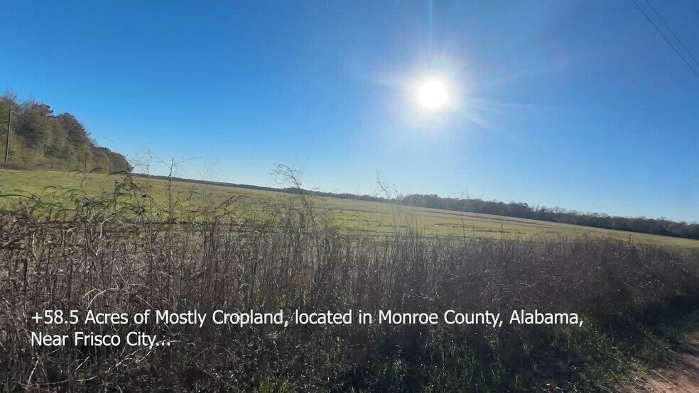 More Photos Of 0 Wiggins Road, Frisco City Land For Sale