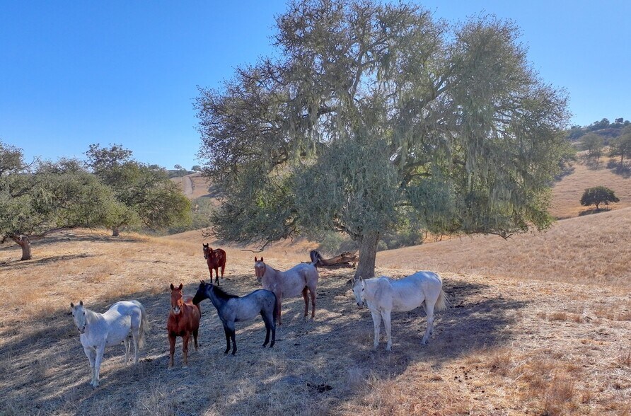 More Photos Of 12000 Nacimiento Lake Dr, Bradley Land For Sale